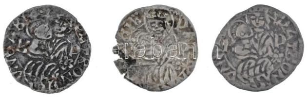 1489. Denár Ag "I. Mátyás" (3db: 0,50g, 0,74g és 0,48g) T:VF Hungary 1489. Denar Ag "...