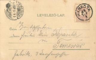 1899 Pankota, Pancota; Magyarádi szőlőhegy, tér, templom. Beamter Ödön kiadása / vineyards, square, ...