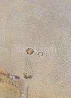 Ezüst (Ag) cigarettatárca, nielló díszítéssel, jelzéssel, 9,5x7 cm, bruttó: 107g