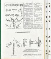 cca 1933-2009 Cserkész témájú fotók és dokumentumok gyűjteménye, mappában rendszerezve