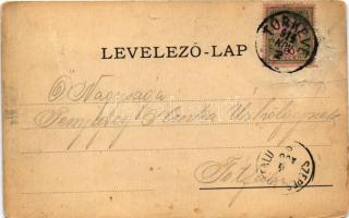 1904 Nedec, Niedzica (mai Lengyelország, Magas-Tátra); Nedecz vár / Schloss Nedecz / Zamek Nedzica /...