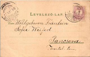 1898 (Vorläufer) Késmárk, Kezmarok; Városháza, Magas Tátra, Fő tér, Lyceum új épülete / Vysoké Tatry...