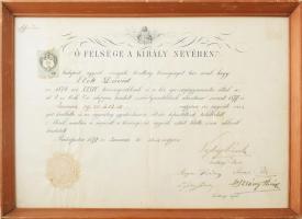 1877 Bp., ügyvédi diploma. Szeredi Vajkay Károly (1825-1893) jogi doktor, királyi táblai elnök, író, a Magyar Tudományos Akadémia levelező tagja autográf aláírásával. Üvegezett fakeretben. 30x44,5 cm.