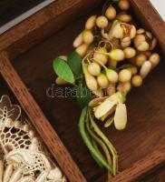 Antik, 1900-1910 körüli kelengye fadoboz érdekes tartalommal: menyaszonyi fejkötő, baba fejkendő, ru...