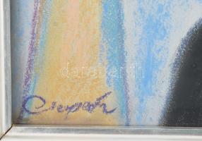 Csapek Károly (1904-1976): Merengő. Pasztell, papír. Jelezve balra lent. Dekoratív, üvegezett fakere...