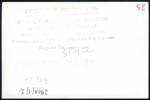 1919 A londoni Imperial War Museumban őrzött negatívról készült fekete-fehér képeslap méretű fénykép...