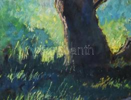 Schadl János (1892-1944): Napfényes erdőbelső, 1924. Olaj, papír, jelezve jobbra lent. Sérült. Dekor...