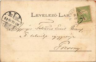 1905 Bajmóc, Bojnice; vár. Gubits B. Privigye kiadása / castle (fl)