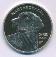 2023. 3000Ft Cu-Ni-Zn "Erdélyi kopó" kapszulában T:P