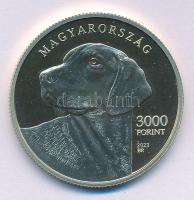 2023. 3000Ft Cu-Ni-Zn "Erdélyi kopó" kapszulában T:P