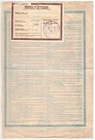 Belgium / Brüsszel 1907. "Buenos Aires-i Villamos Rt." értékmegjelölés nélküli osztalék ré...