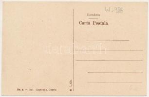 Óradna, Alt-Rodna, Radna veche, Rodna; Állami bánya / Minele statului / mine (fl)