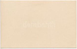 Máramarossziget, Sighetu Marmatiei; Strassenszene / utca, gyógyszertár / street view, pharmacy. phot...