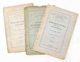 A Magyar Tudományos Akadémia elhunyt tagjai fölött tartott emlékbeszédek, 3 füzet: gróf Szécsen Antal: Mailáth György emlékezete.; Vadnai Károly: Emlékbeszéd Frankenburg Adolf, a M. T. Akadémia levelező tagja fölött.; Hornyánszky Gyula: Schvarcz Gyula rendes tag emlékezete. Bp., 1884-1917, MTA. Kiadói papírkötés, változó állapotban, sérülésekkel.