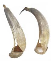 cca 1960, Kelet-Afrika, 2 darab madár dísz. Faragott kafferbivaly szarv, jó állapotban, m: 34-38 cm