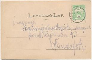 1911 Felsőszombatfalva, Sambata de Sus; hegymászók lovon a Fogarasi-havasokban (Fogarasi Kárpátok). ...