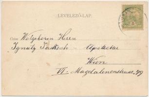 1905 Oravicabánya, Oravica, Oravicza, Oravita; Vasúti híd, gőzmozdony, vonat / railway bridge, locom...