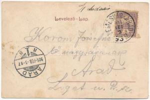 1901 Temesvár, Timisoara; Józsefváros, Bonnáz utca, háttérben a Józsefvárosi pályaudvar, vasútállomá...