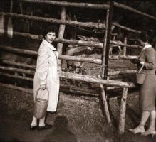 Vintage negatív és diapozitív felvételek vegyes tétele sokféle témáról, különféle helyszíneken (mode...