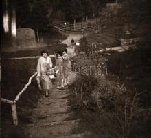 Vintage negatív és diapozitív felvételek vegyes tétele sokféle témáról, különféle helyszíneken (mode...