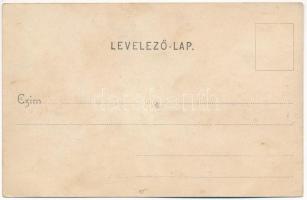 Temesvár, Timisoara; Gyárváros, Kossuth tér, Bruder Kohn üzlete. Polatsek kiadása / Fabric, square, ...