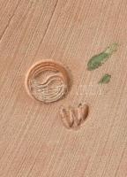 Furulyázó pásztor gyermek. Mázas kerámia, jelzett, kis mázkopással 12x13 cm