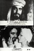 cca 1976 Kabir Bedi filmszínész ,,A maláji tigris - Sandokan" című film kilenc jelenetében, 9 db vintage produkciós filmfotó (vitrinfotó, lobbyfotó) ezüst zselatinos fotópapíron, a használatból eredő (esetleges) kisebb hibákkal, 18x24 cm