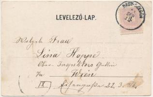 1899 (Vorläufer) Szelindek, Stolzenburg, Slimnic; Sächsisches Brautpaar, Ev. Pfarrhof, Die Stolzenbu...