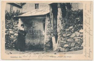 1906 Szelistye, Salistea Sibiului, Saliste; Fantana Foltei din Seliste / forrás, kút. N. Tintea kiadása / spring well (EK)
