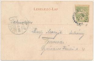 1906 Szelistye, Salistea Sibiului, Saliste; Fantana Foltei din Seliste / forrás, kút. N. Tintea kiad...