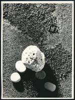 cca 1975 Jelzés nélküli, vintage fotografika, ezüst zselatinos fotópapíron, 18x24 cm