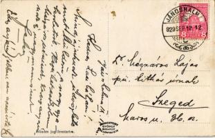 1929 Jánoshalma, A világháborúban elesett hősök emlékszobra koszorúkkal, magyar zászlók és levente f...