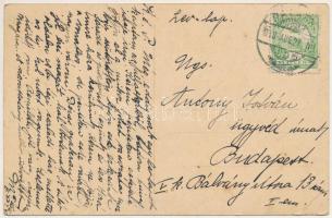 1913 Palánka, Bácspalánka, Backa Palanka; Rákóczi út / street view (EB)