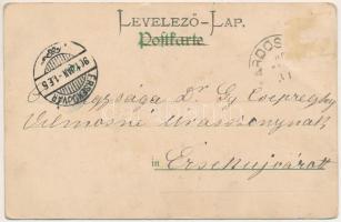 1901 Lady art postcard. Edgar Schmidt litho (Rb)