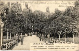 Korondfürdő, Corund; fürdő park, reklám / spa park, advertisement (EK)