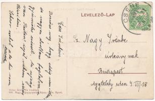 1912 Csene, Tschene, Cenej, Cenei; Uzbasich Gáspár főszolgabíró háza, Ruttner gyógyszertár, Weisz Ár...