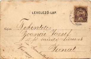 1901 Vác, Püspöki kastély. Divald Károly 165. sz. (fl)