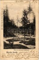 1905 Bártfa-fürdő, Bardejovské Kúpele, Bardiov, Bardejov; Édes-víz medence és pihenő. Salgó Mór kiadása / spa park (EK)