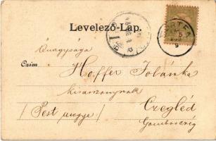 1905 Bártfa-fürdő, Bardejovské Kúpele, Bardiov, Bardejov; Édes-víz medence és pihenő. Salgó Mór kiad...