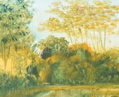 Julius Coloman (?) Major (?) jelzéssel: Vízparti táj. Olaj, farost. 30x40 cm. Dekoratív fakeretben