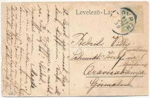 1913 Lovrin, Báró Lipthay kastély / Baron Liptay Kastel / castle (szakadások / tears)