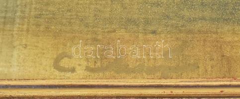 Olvashatatlan (C. Major?) jelzéssel: Napfényes táj. Olaj, farost. 30x40 cm. Dekoratív fakeretben