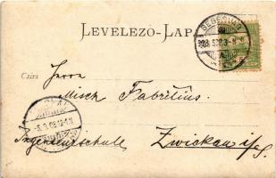 1903 Segesvár, Schässburg, Sighisoara; Schulberg / Evangélikus vártemplom és gimnázium / Lutheran ca...