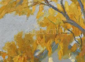 Csáki-Maronyák József (1910-2002): Balatoni kirándulók (őszi táj). Olaj, farost. Jelezve balra lent....