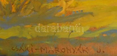 Csáki-Maronyák József (1910-2002): Balatoni kirándulók (őszi táj). Olaj, farost. Jelezve balra lent....