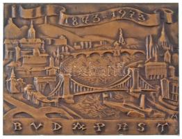 Madarassy Walter (1909-1994) 1973. "Budapest 1873-1973" egyoldalas, öntött bronz plakett dísztokban (78x101mm) T:AU