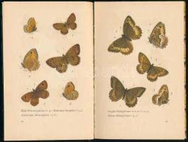 Schnack, Friedrich - Hübner, Jacob: Das kleine Schmetterlingsbuch. Insel-Bücherei Nr. 213. Leipzig, ...