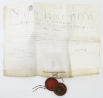 1888 Filozófiai doktori diploma. Pergamenen jó állapotú viaszpecséttel fa tokban Schmidt Márton (1865-1928) filozófiai, oklevéltani, történettudományi és magyar nyelvészeti doktor, főgimnáziumi tanár részére + hozzá dr. Schmidt Marton: Lélektan c .könyve