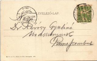 1905 Budapest XIV. Vajdahunyad vára, Városliget. M. T. és F. I. Koch és Pór kiadása (EK)