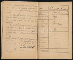 1883 Schmidt Márton (1865-1928) filozófiai, oklevéltani, történettudományi és nyelvészeti doktor nép...